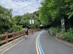 -杭州半山国家森林公园