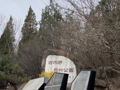 -白水寺森林公园