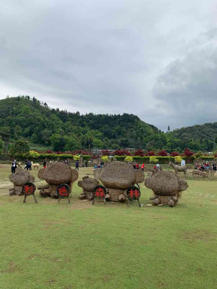彩色森林-"驱车40分钟到达位于巴南丰盛古镇旁的彩色.