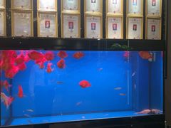 -康悦足疗(长安锦绣店)