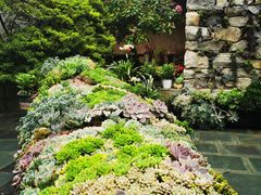 -苍山感通索道