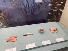 -上海中国航海博物馆