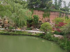 -青枫公园