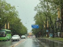 -福苗小骆驼烧烤(大唐不夜城店)