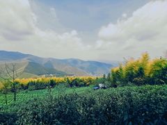 -莫干山风景区