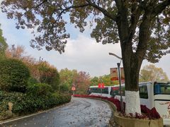 -上海市保健医疗中心