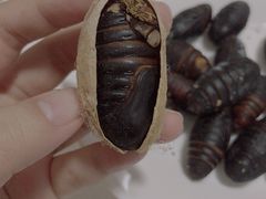 -李村大集