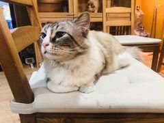 -白兔子密室(长寿路店)