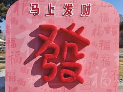 -沈阳植物园