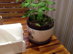 -Rabbit Cafe私房西餐甜点咖啡(栖霞路店)