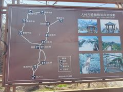 -大岭沟猕猴桃谷风景区