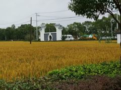 -暮谷MUGO ·团建聚会·露营烧烤·生日派对·共享菜地