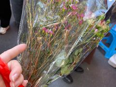 -越秀西湖花市(广州城市广场花卉店)