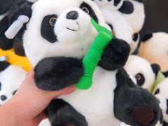 -宁波野生动物园