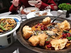 -柿合缘新京菜(国金中心商场店)