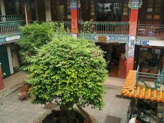 -云南古玩城(护国路店)