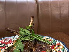 -Uncle Kosto科斯托·中东菜