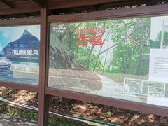 -银瓶嘴森林公园