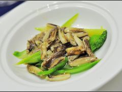 蟹柳芦笋-新光酒家·河豚·海鲜·蟹料理(浦东店)