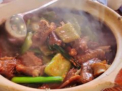 凉瓜焖狮头鹅掌亦煲-七寸飝大饭店(马场店)