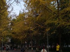 -四川大学(望江校区)