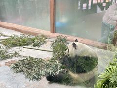 -青藏高原野生动物园