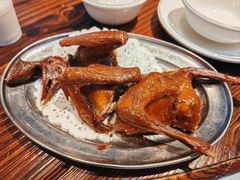 -南海鸽天下(肇庆店)