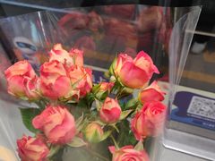 -丁荣华炸串(托乐嘉店)