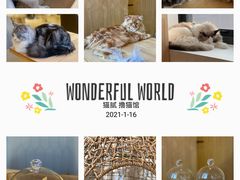 -猫腻·猫咖·撸猫馆(星光大道店)