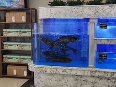 -香山湖渔家大院