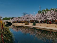 -元大都城垣遗址公园