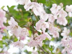 -贡湖湾湿地公园