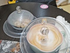 -逗柴咖啡屋·狗咖猫咖宠物桌游