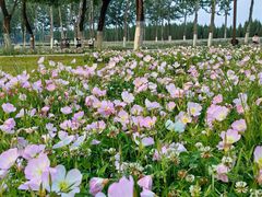 -汉长安城未央宫国家考古遗址公园