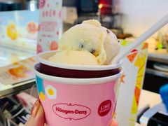 -哈根达斯(西安高新店)