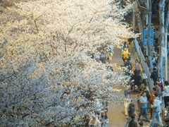 -西北湖绿化广场