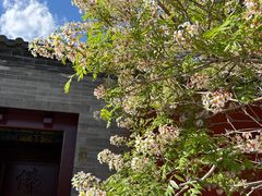 -五台山风景名胜区-罗睺寺