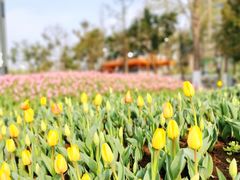 -泉城广场