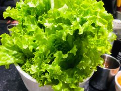 无限量生菜-海花锅盖烧烤店(怡馨家园店)