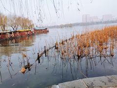 -济南大明湖景区