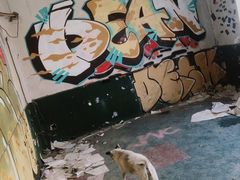 -济南轻骑摩托车有限公司(和平路)