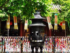 -罔极寺
