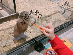 -zoonana室内动物园(东方福来德店)