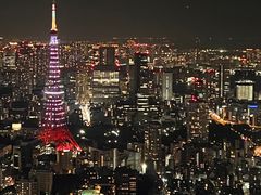 -六本木新城展望台(东京城市景观)