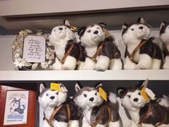 -TrueLove @ Neverland (Husky Cafe)