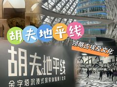 -凤凰中心