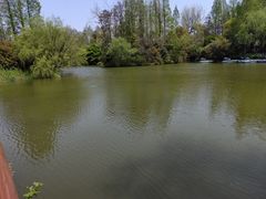 -上海滨江森林公园