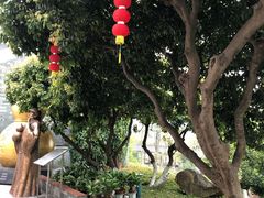 -广州神农草堂中医药博物馆