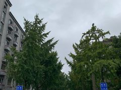 -四川大学(望江校区)