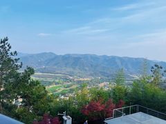 -凤凰山国家森林公园